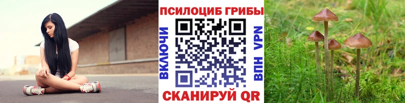 наркотики  Лениногорск  Галлюциногенные грибы Cubensis 